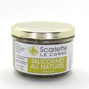 Salicornes